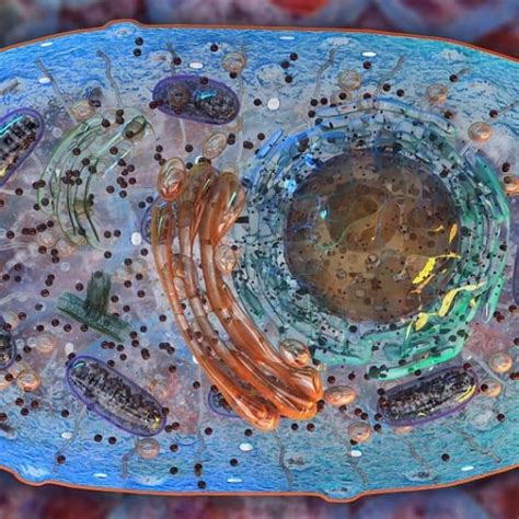 Un Nuevo Modelo Sobre El Origen De Las Mitocondrias Https Investigacionyciencia Es