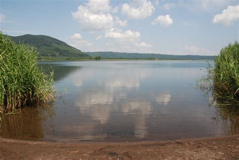 Acquari E Natura La Riserva Naturale Del Lago Di Vico La Palude