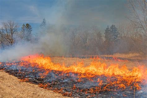 Ars Ecologists Address A Burning Question Prescribed Fire Agdaily
