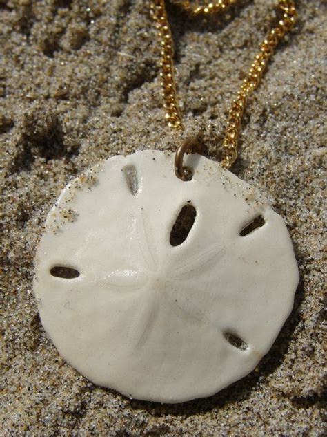 Vintage Real Sand Dollar White Pendant And Gold By Theplaidlemon White