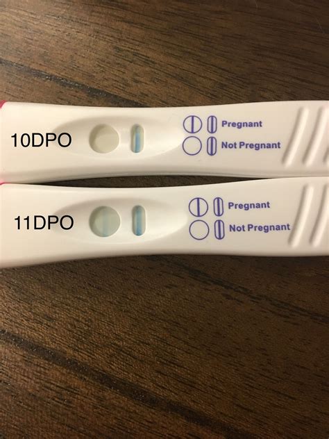Negative Pregnancy Test 10 Dpo Haloparenting
