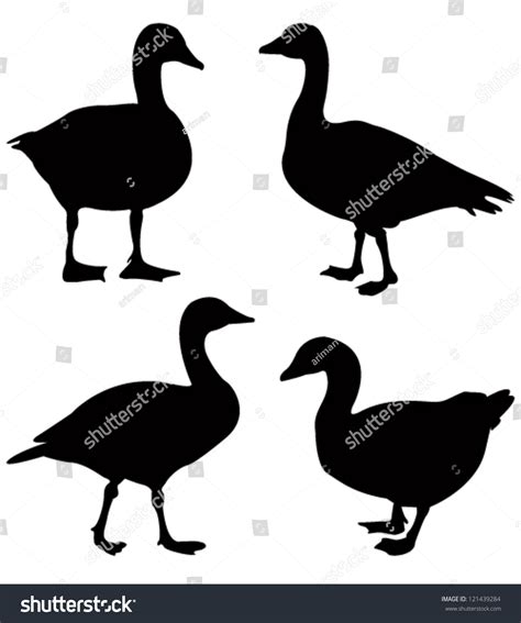 Goose Silhouette Stock Vector Illustration 121439284 Shutterstock