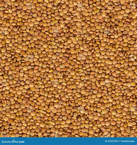 Lentil Yellow Evenly Layer Background Stock Illustration
