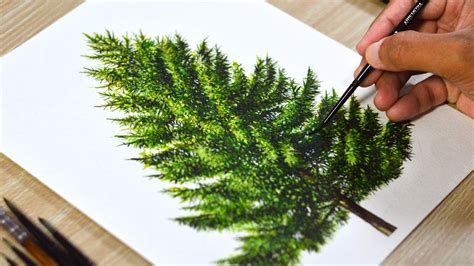 Watercolor Painting Of A Pine Tree Youtube