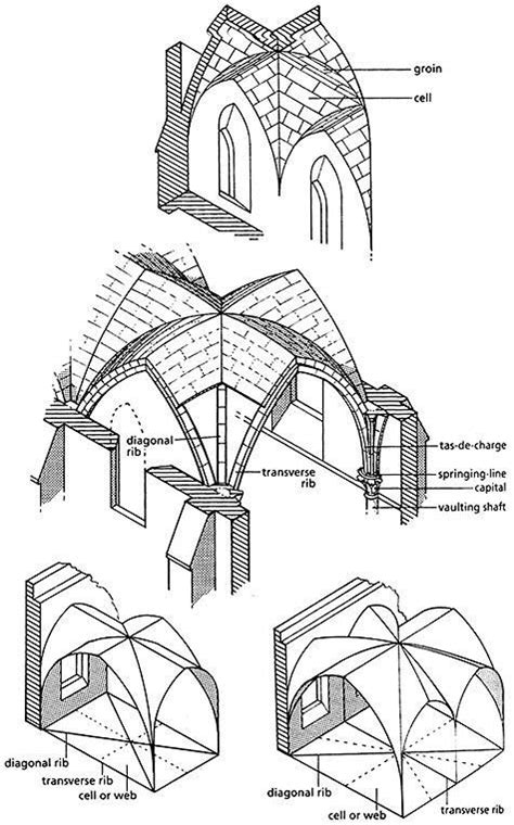 องค์ประกอบสถาปัตยกรรมกอธิคribbed Vaulting Gothic Architecture Drawing