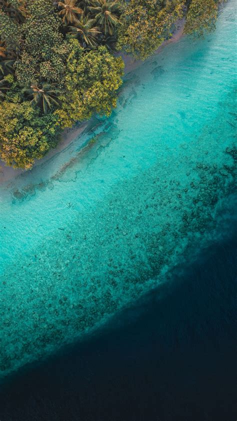 Download Wallpaper 1440x2560 Palm Trees Ocean Aerial View Tropics