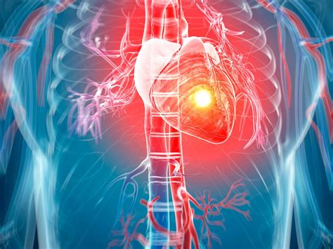 Cardiology Wallpapers Top Free Cardiology Backgrounds Wallpaperaccess