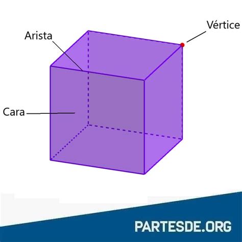 Partes Del Cubo
