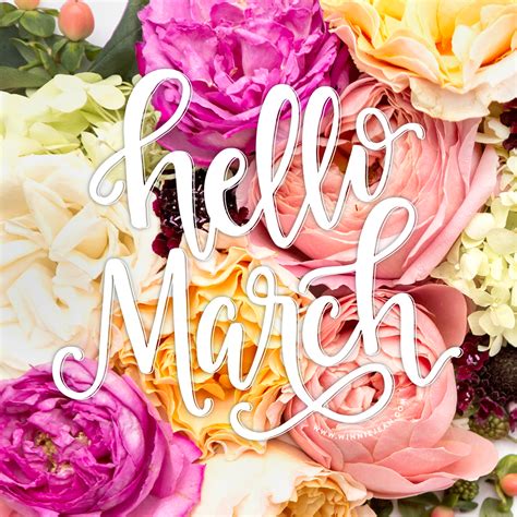 HELLO MARCH | Hello march, March, Luxury flowers