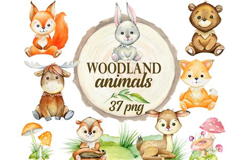 Spring Baby Animals Watercolor Clipart Woodland Forest Clip Art Art