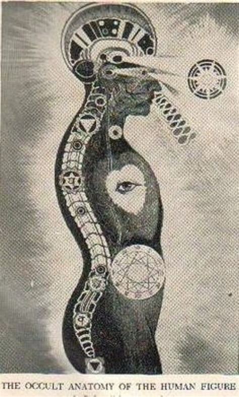 Occult Anatomy Of Human Figure Occult Esoteric Art Occult Art