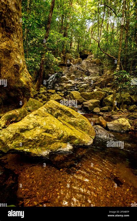 Western Ghats Rocks Hi Res Stock Photography And Images Alamy