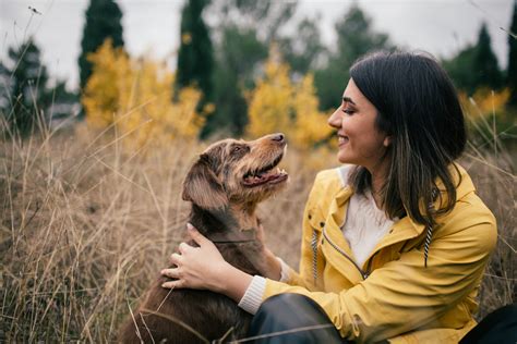 Why Dogs And Humans Bond So Well Pucci Café