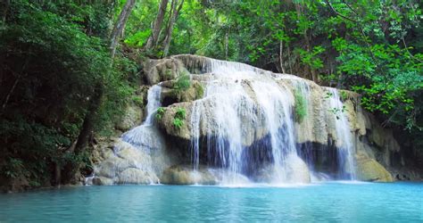 Exotic Landscape With Idyllic Waterfall Stock Footage Video 100