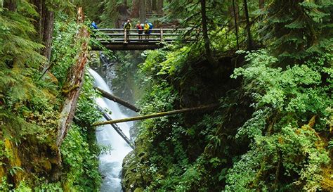 Bridge Over Sol Duc Waterfall On Olympic National Park Olympic