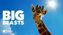 Big Beasts (Apple TV+) dévoile sa bande-annonce avec les animaux et la ...