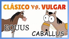 VOCABULARIO del latín CLÁSICO y VULGAR: diferencias #EvoluciónEspañol ...