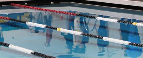 Shoreline Area News Shorecrest Shorewood Swimmers Have Final Dual