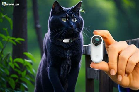 Best Cat Collar Cameras 2023 Ultimate Guide And Top Picks