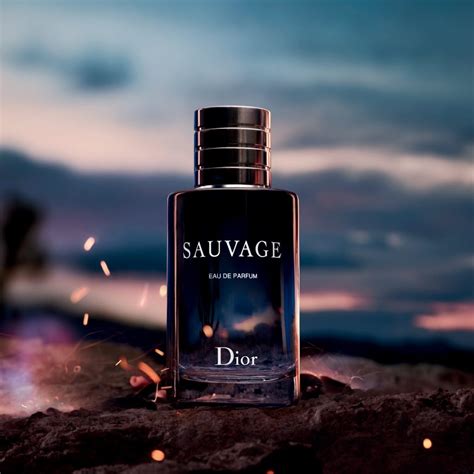 Dior homme parfum contains three key notes of the composition printed on its bottle: Eau de Parfum DIOR SAUVAGE - hafalatt.com
