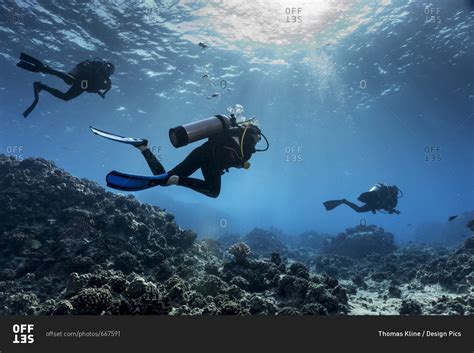 March 20 2016 Scuba Divers From Big Island Divers Swimming Along The