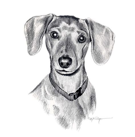 Watch our channel for unlimited drawing tutorials almost on every subject. MINIATURE DACHSHUND Dog Pencil Drawing Art Print Signed by