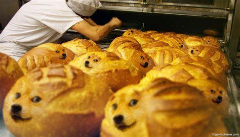 Bakerman Is Baking Bread 🍞 Bread Meme Doge Much Wow Cat Bread