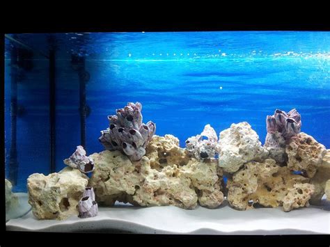 20kg White Aquarium Sand Fish Tank Quartz Substrate Natural Silica 05