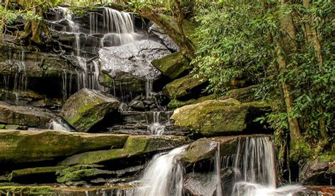 Somersby Falls Walking Track Brisbane Water National Park Photo John