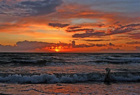 Wallpaper Sunset Sea Sky Clouds Goldenretriever Denmark Spring