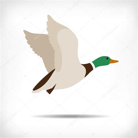 Flying Duck Vector Mallard Duck Flying Duck Flying Icon Duck Hunt