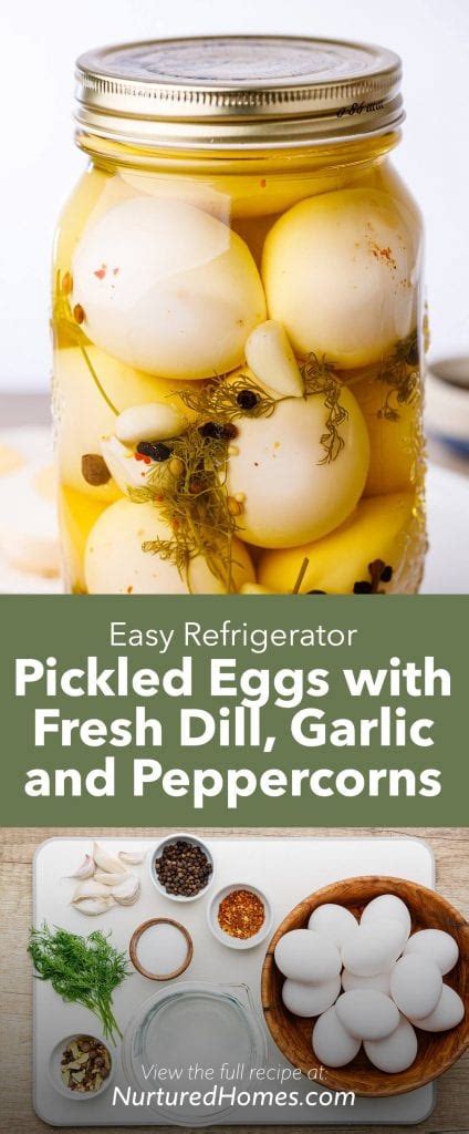 Easy Refrigerator Pickled Eggs With Fresh Dill Garlic And Peppercorns