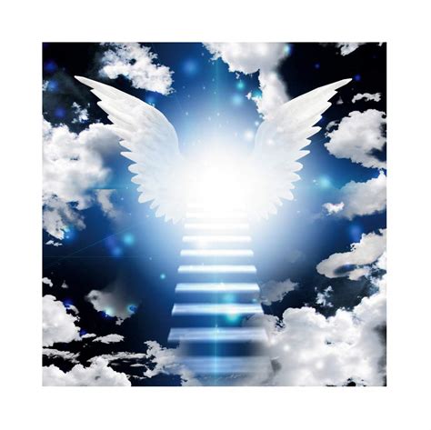 Buy Dorcev 10x10ft Heaven Angel Wing Backdrop Dor Baby Shower