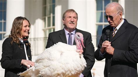 biden pardons turkeys ‘chocolate and ‘chip for thanksgiving