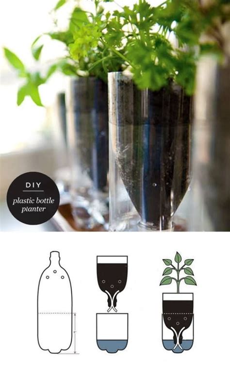 How to make a bottle garden. diy self watering planter | Plastic bottle planter, Diy ...