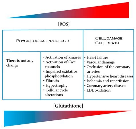 Antioxidants Free Full Text Glutathione Participation In The Prevention Of Cardiovascular