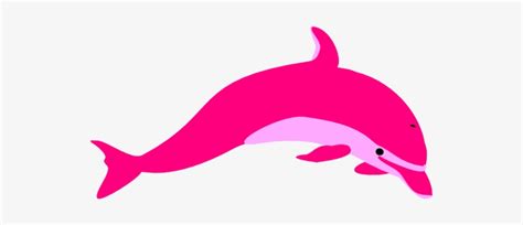 Pink Dolphin Png Clip Pink Dolphin Cartoon Dolphin 538x273 Png