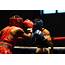 USAG Bavaria Brings Back Boxing Tournaments  Bavarian News US Army