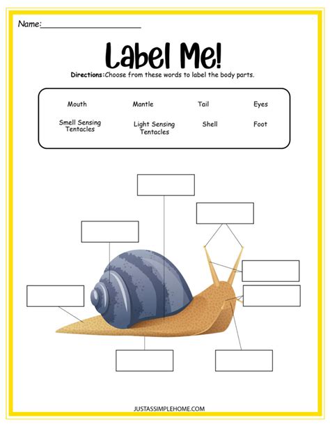 8 Page Science Activity Pack About Snails Free Printables Jenny At