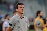 Fluminense espera Fernando Diniz mais maduro, sem perder o elenco, para ...