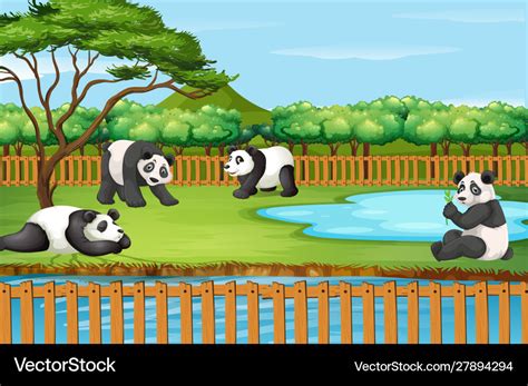 Scene With Panda In Zoo Royalty Free Vector Image