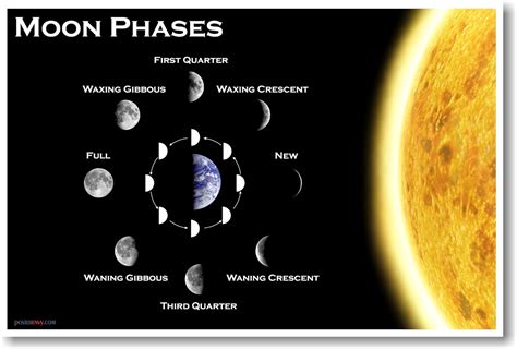 Moon Phases Classroom Science Poster Prints Posters