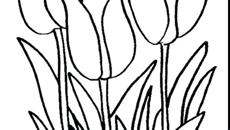 Fun lily coloring pages help you celebrate the seasons. Tiger Lily Coloring Pages at GetColorings.com | Free ...