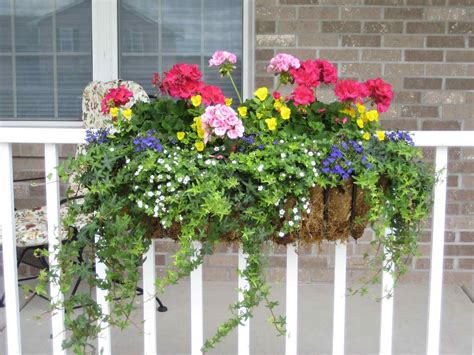 List Of Best Flower Pots For Balcony Ideas