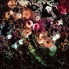 Blooming Painting by Rosie Brown | Fine Art America