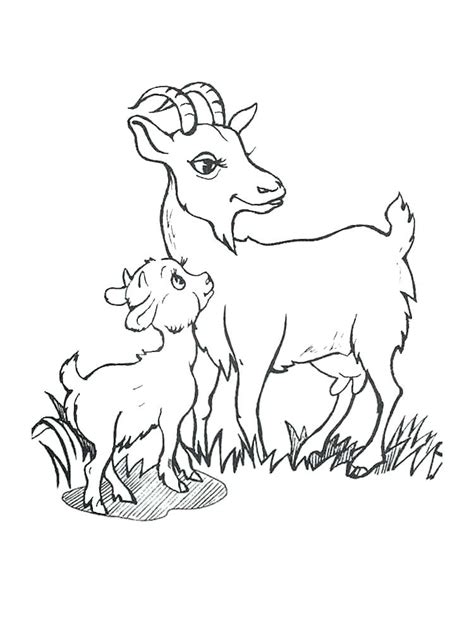 Push pack to pdf button and download pdf coloring book for free. Boer Goat Coloring Pages at GetColorings.com | Free ...