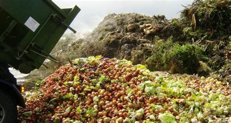 Global Shortage Predicted Yet Americans Now Trash 50 Of Food Supply