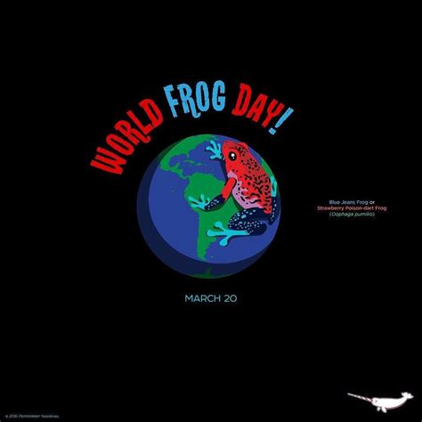 Renèe Bauhofer On Instagram I Spent World Frog Day Working With Some
