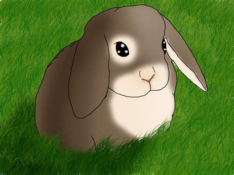 Lop Eared Bunny By Thistleflight On Deviantart