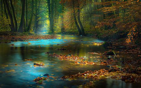 1280x800 River Sunbeam Autumn 4k 720p Hd 4k Wallpapers Images